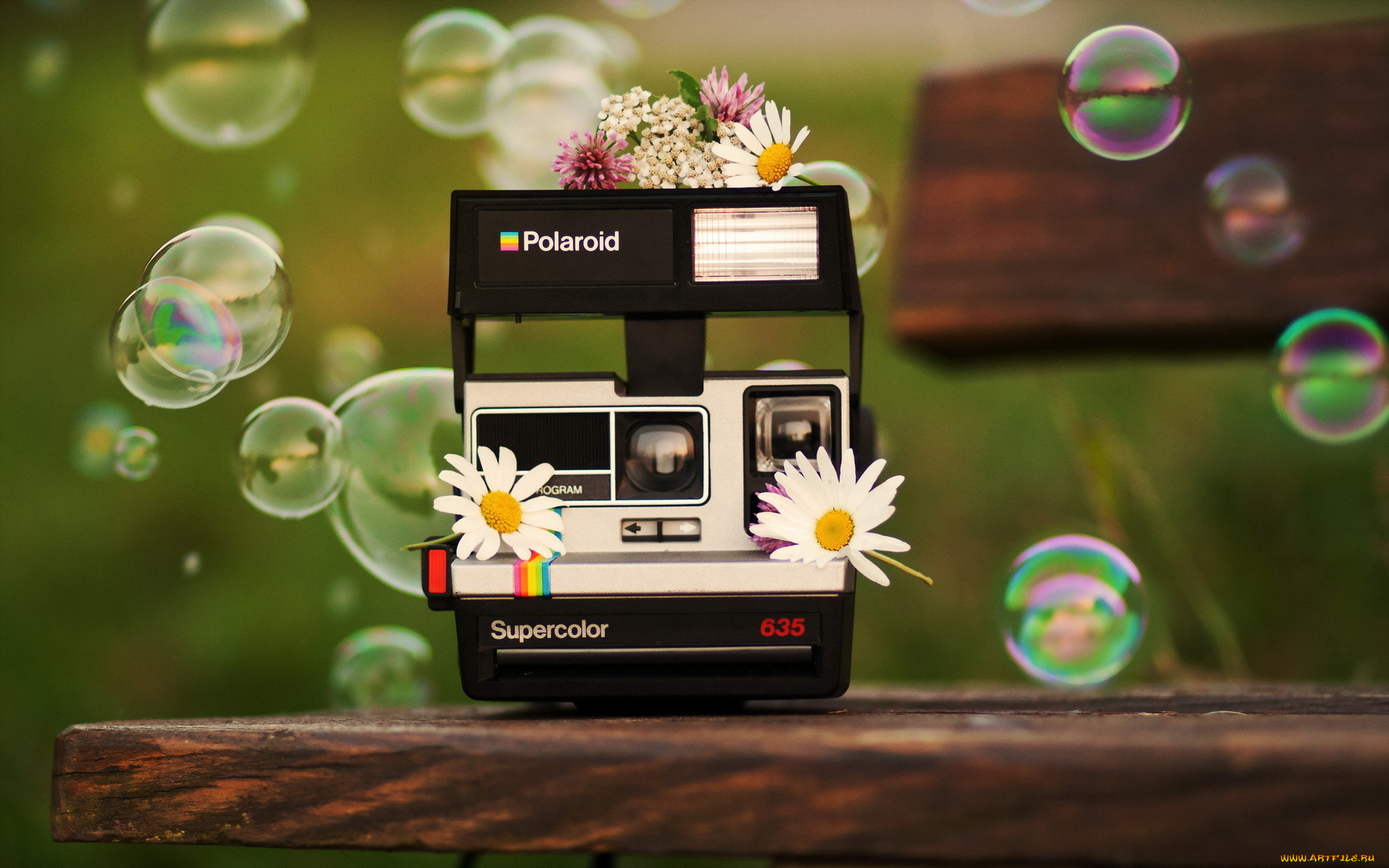 , polaroid, , , 
